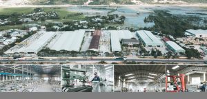 Stone Processing Capabilities